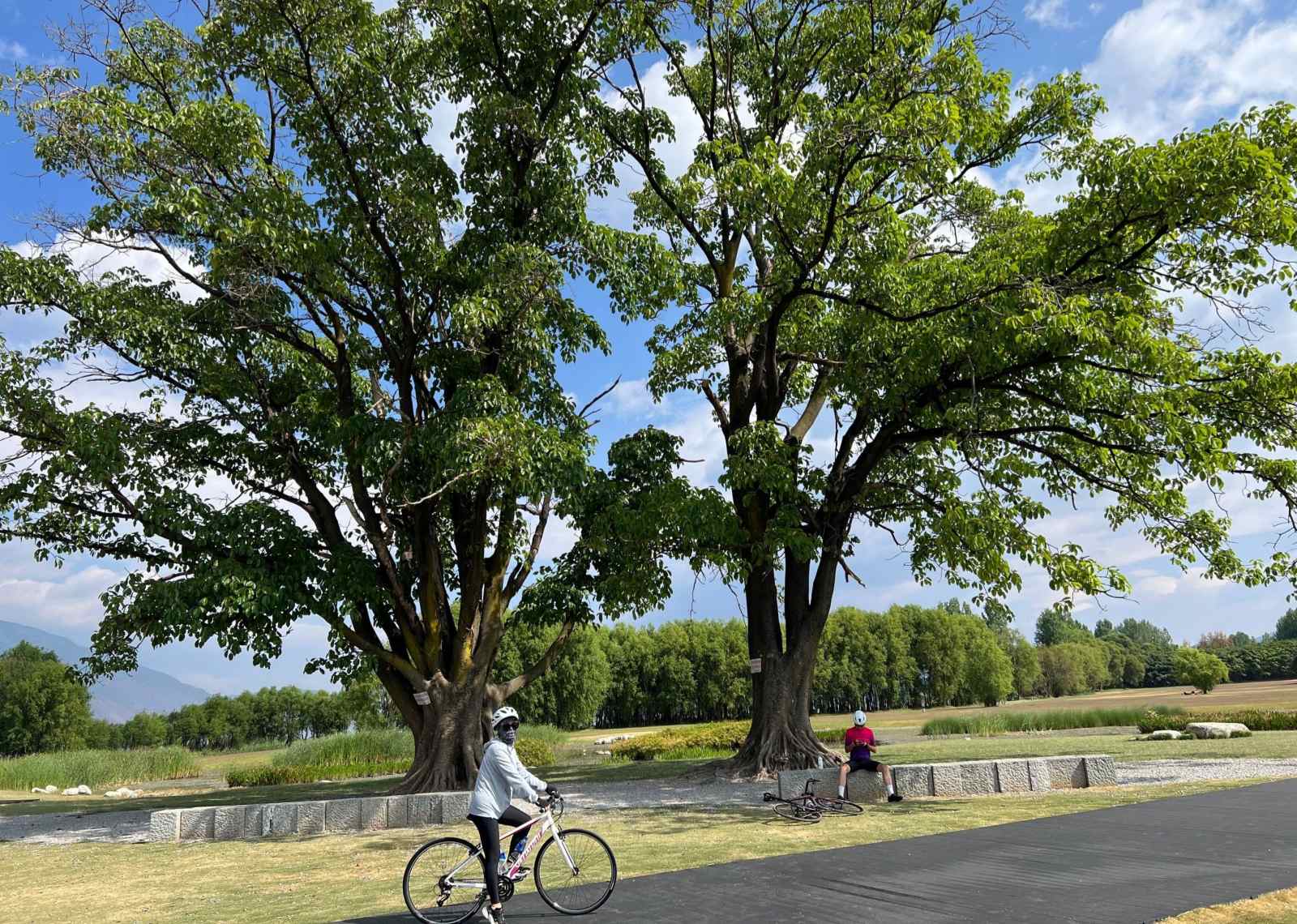 Erhai Lake Cycling