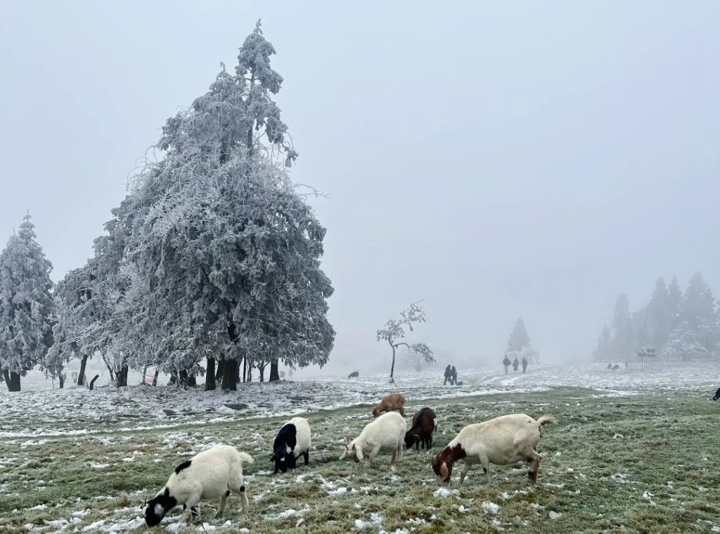 Fairy Mountain in Winter