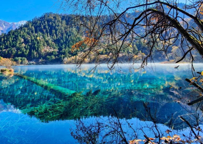Five Flower Lake