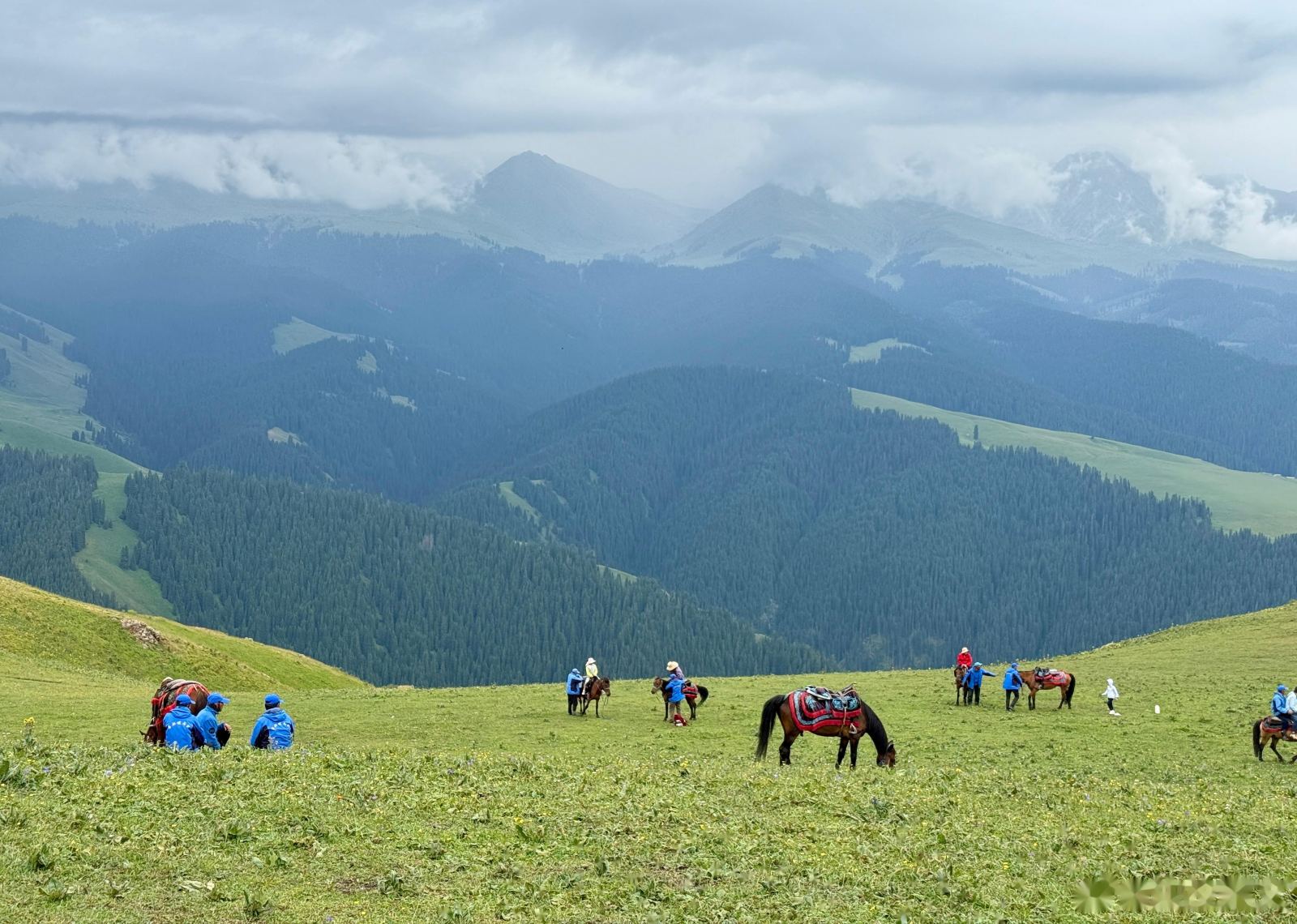 Grassland Scenery of North Xinjiang