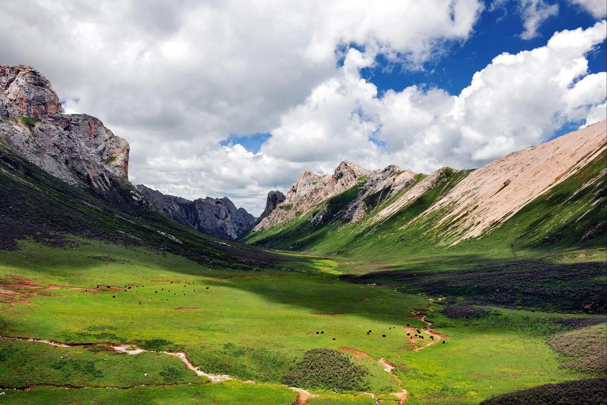Grassland in Gansu's Gannan Tibetan Plateau