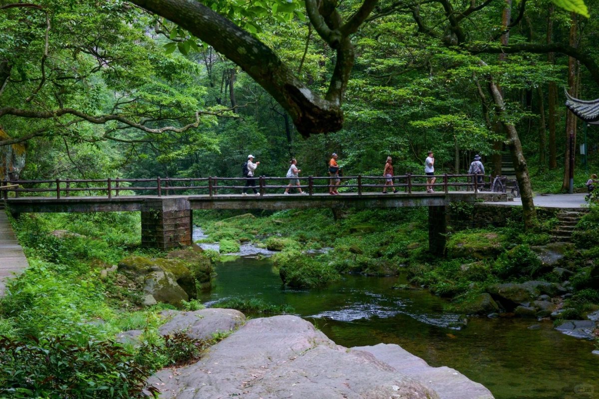Hiking the Golden Whip Stream