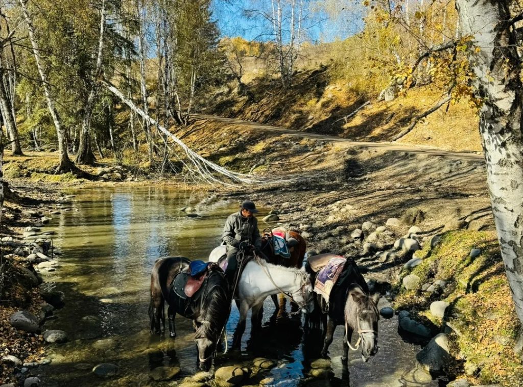 Horseback Riding