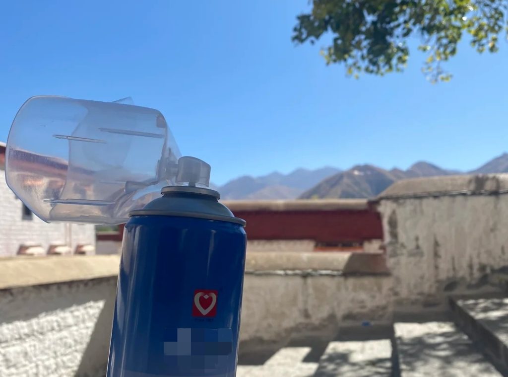 Important Considerations for Visiting Potala Palace in Tibet