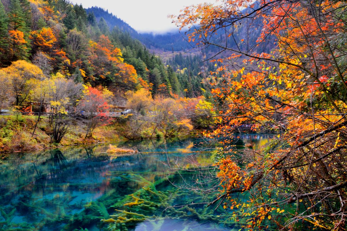 Jiuzhaigou in Autumn