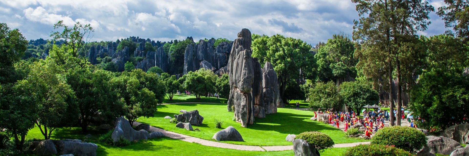 Stone Forest