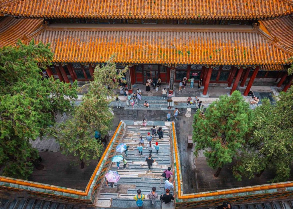Longevity Hill