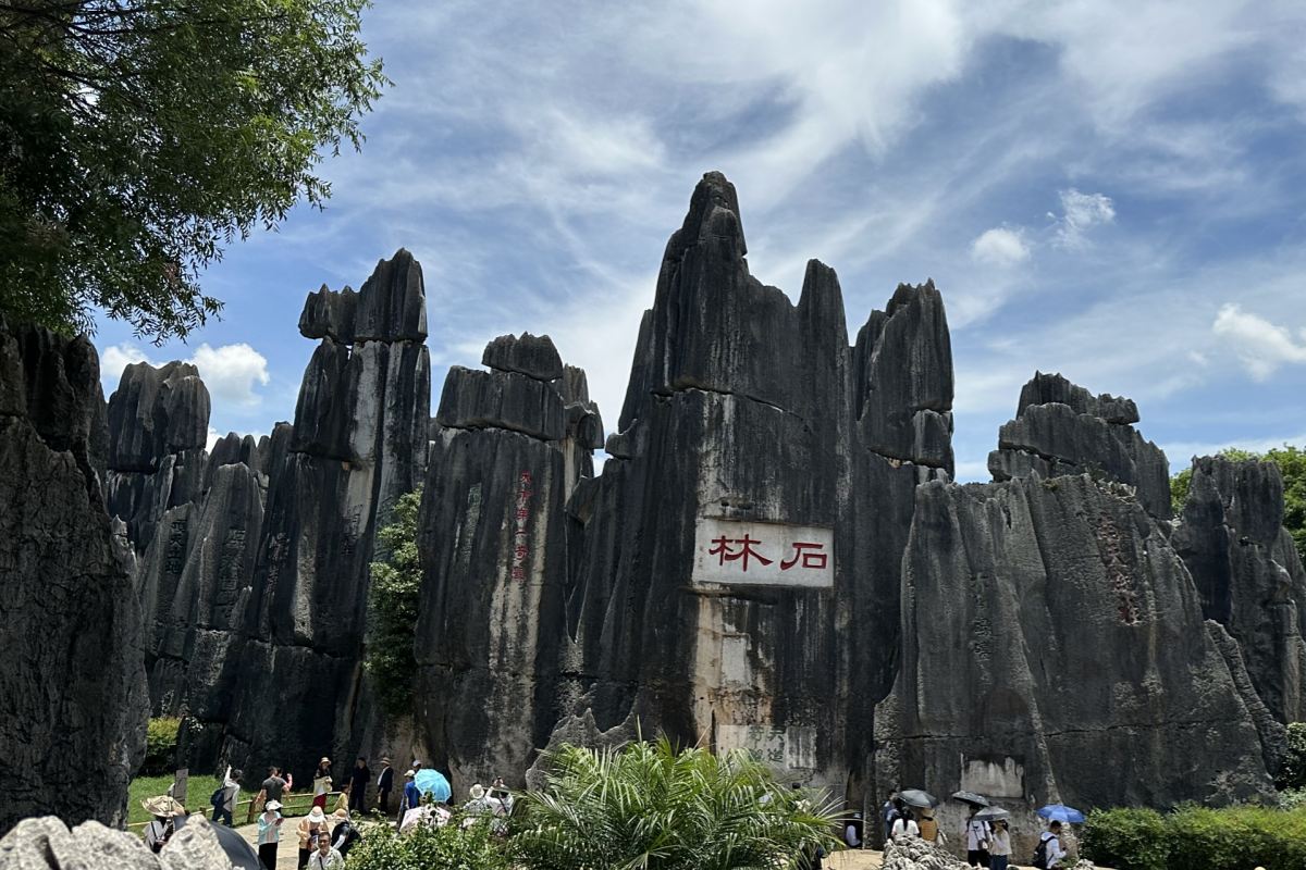 Major Stone Forest