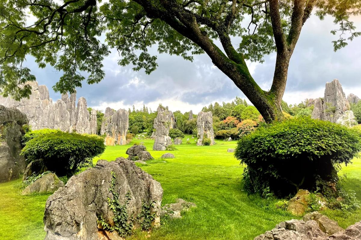 Minor Stone Forest