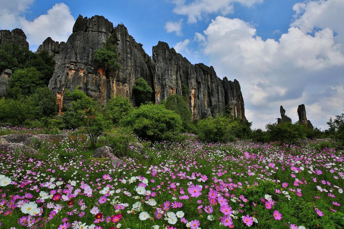 Naigu Stone Forest