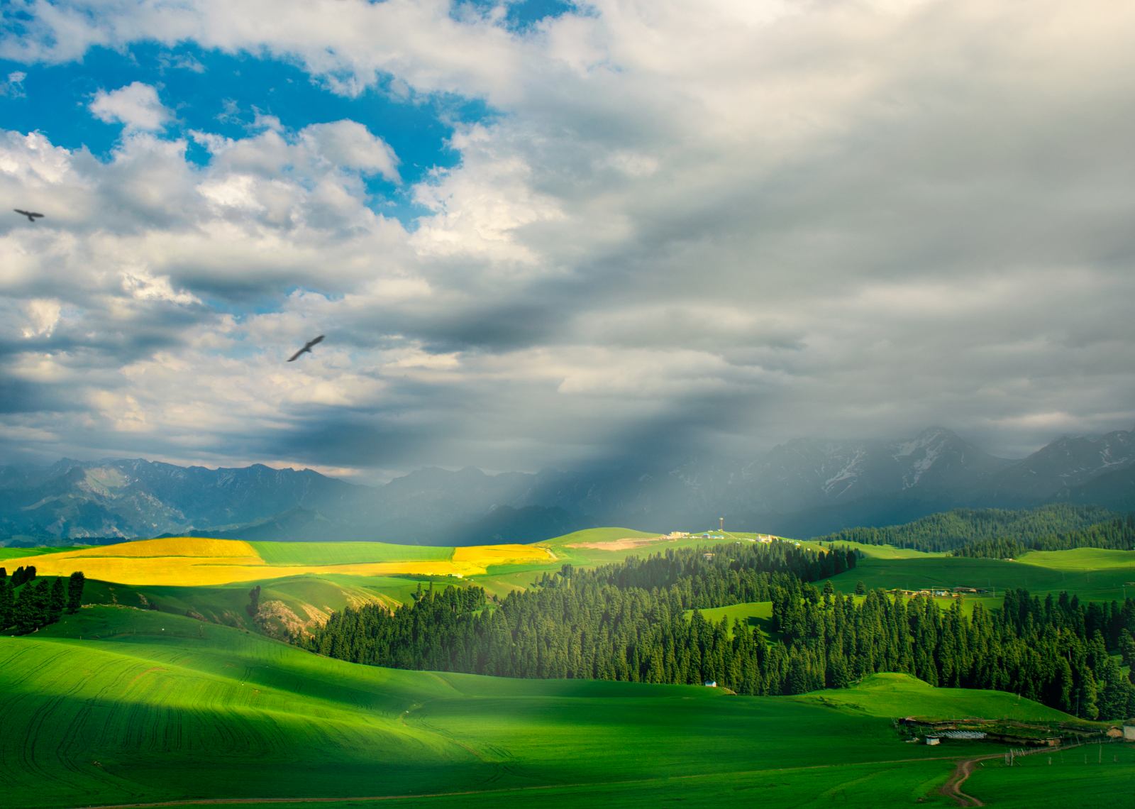 Nalati Grassland