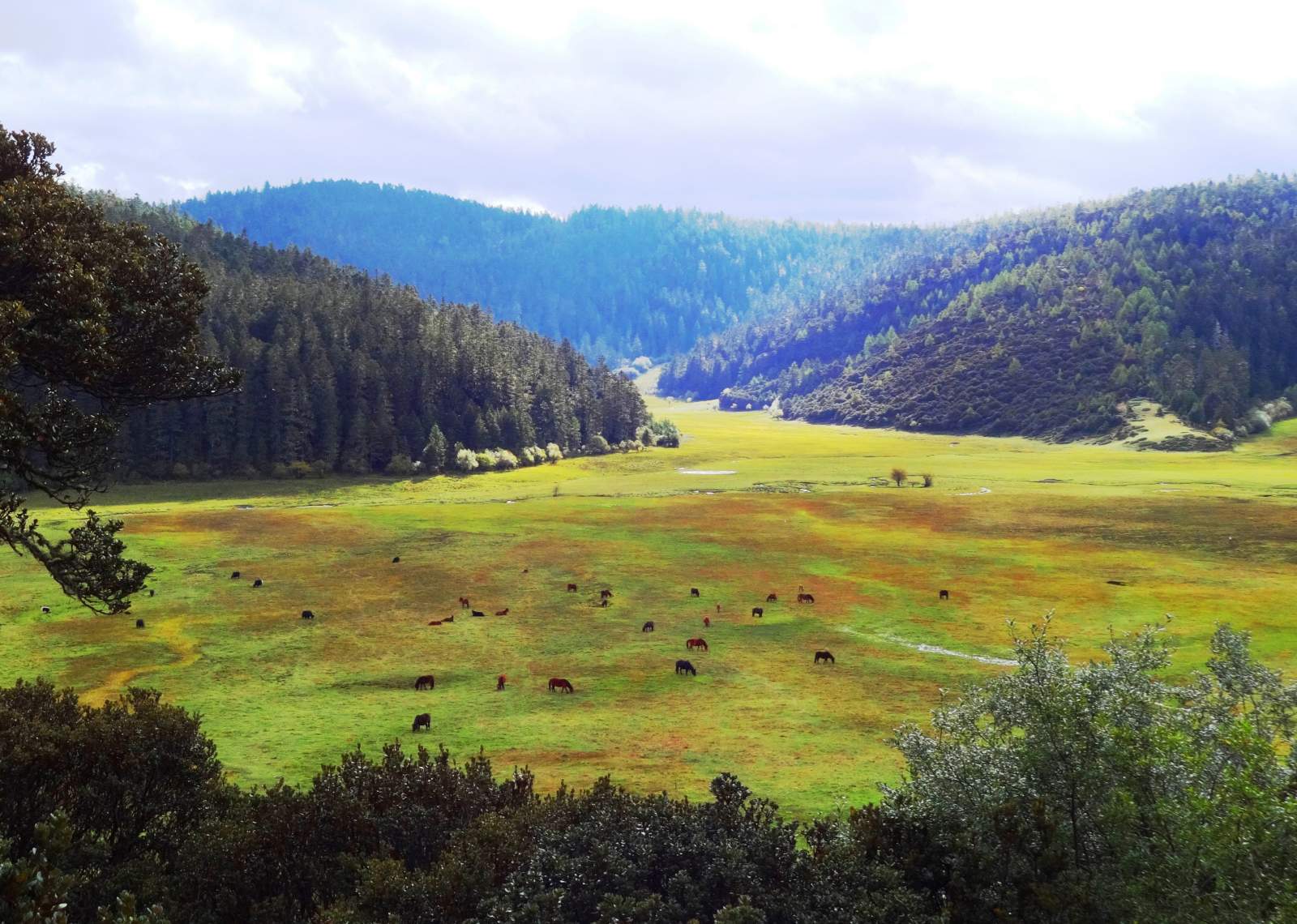 Pudacuo National Park