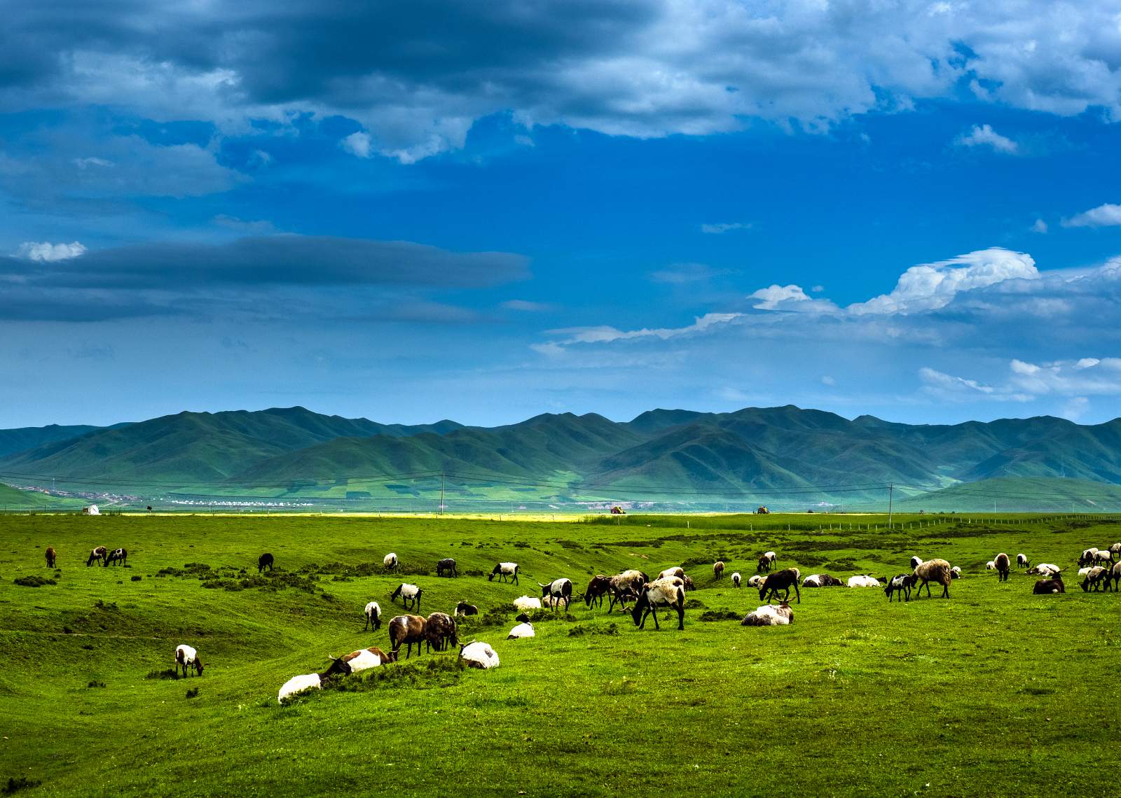 Sangke Grassland