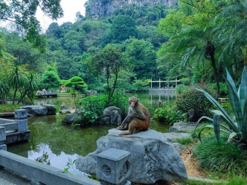 Seven Star Park