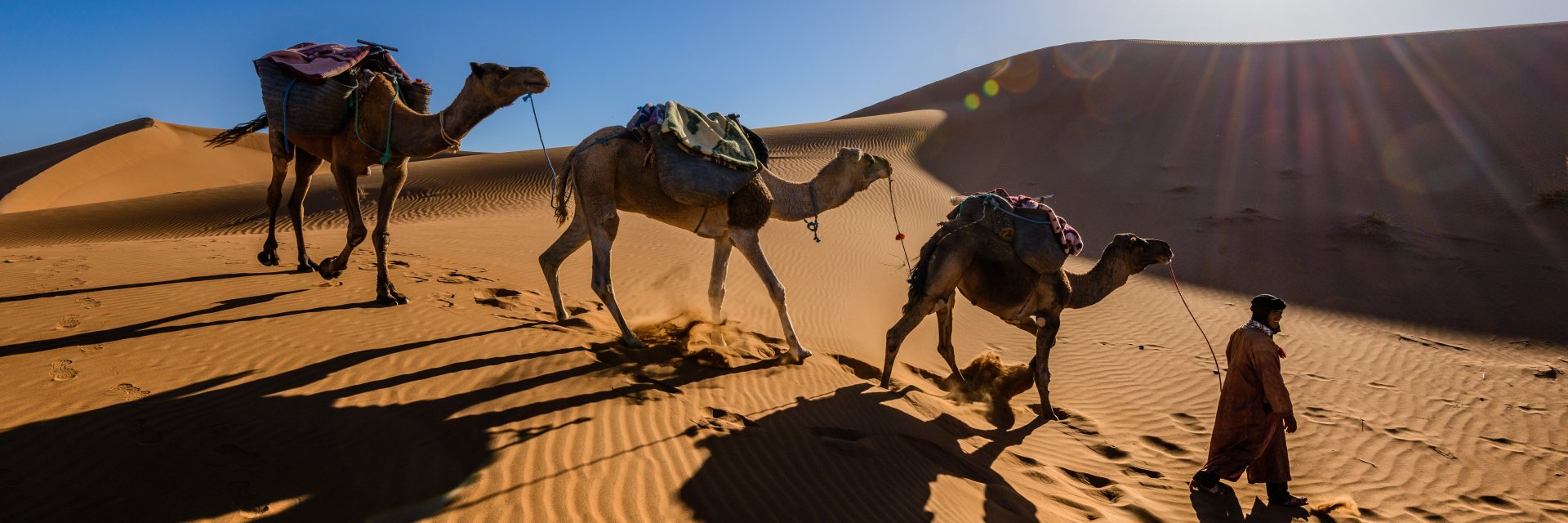Silk Road Tours for Seniors