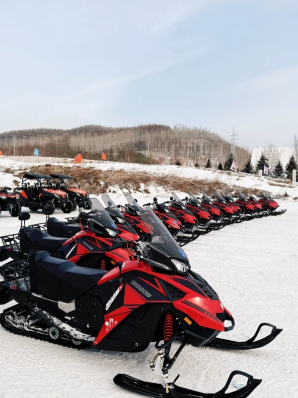 Snow Moiling