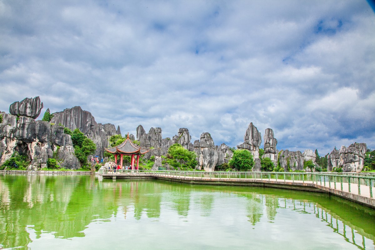 Stone Forest