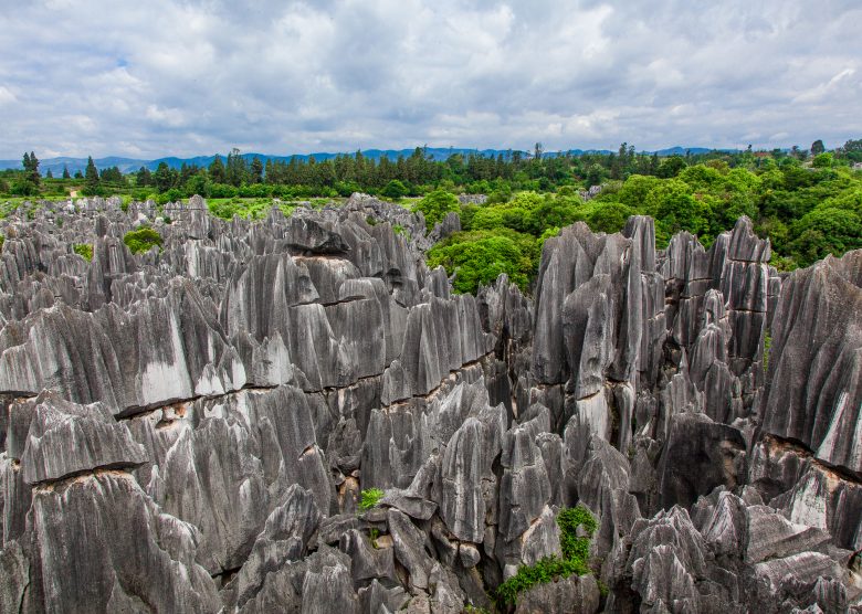 Kunming Stone Forest: China’s Breathtaking Karst Masterpiece
