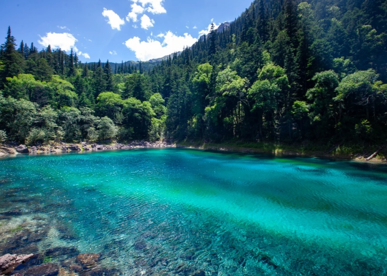 Summer in Jiuzhaigou