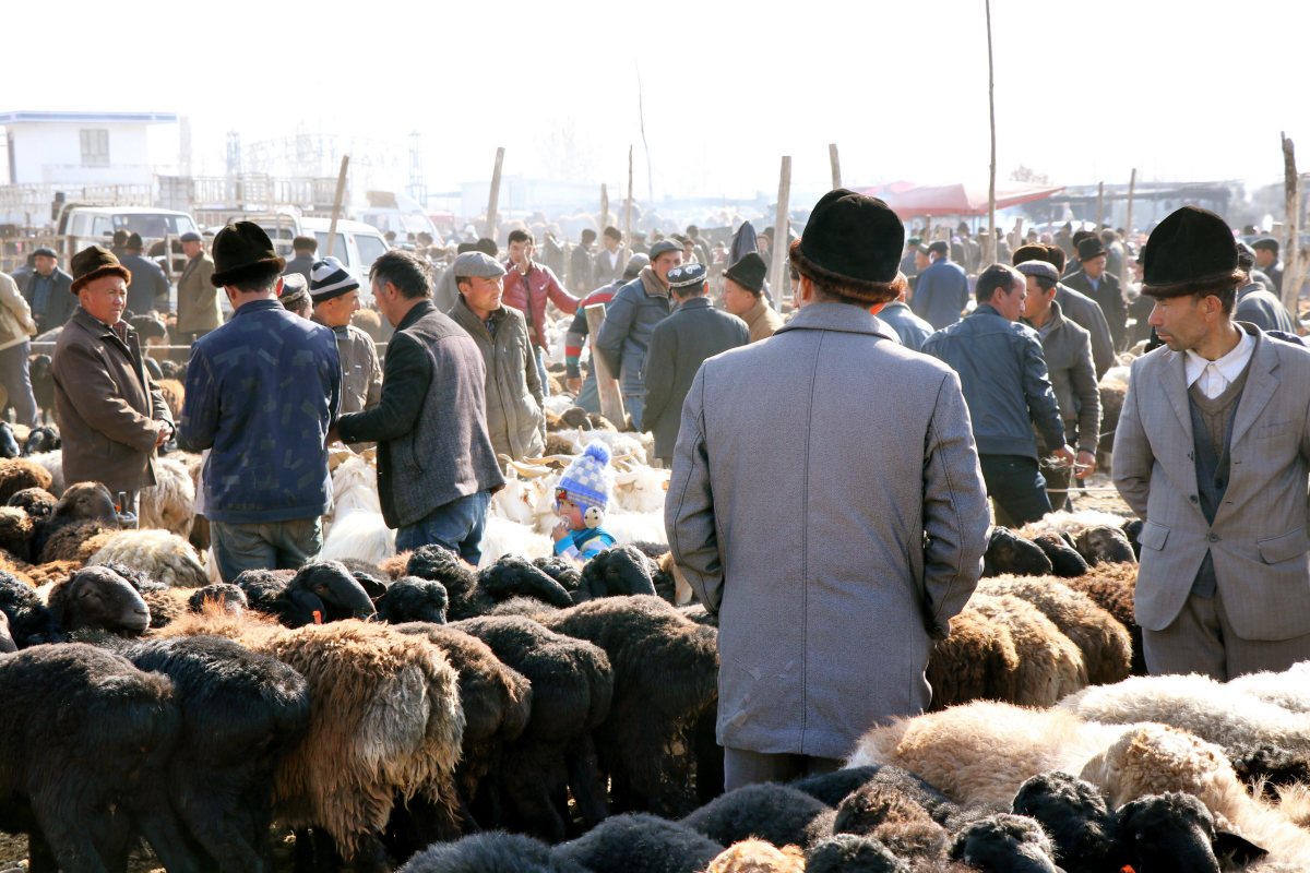 Sunday Livestock Market
