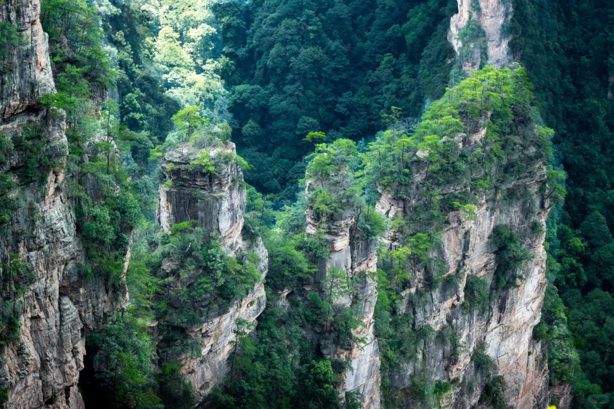 Yuanjiajie(The Avatar Mountains)