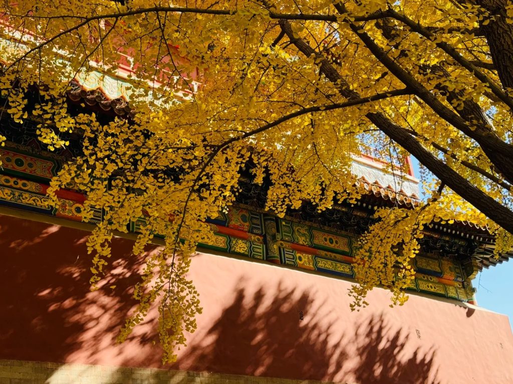 The Forbidden City in Autumn