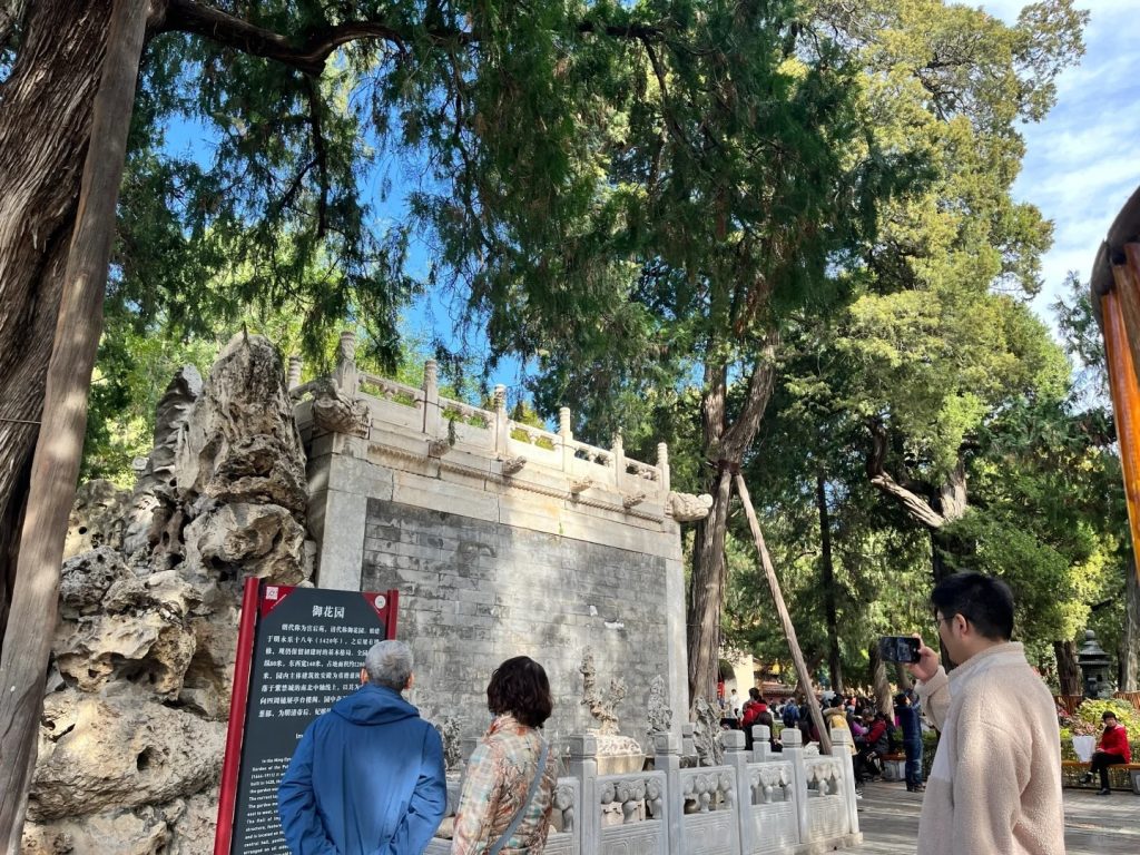 The Imperial Garden in the Forbidden City