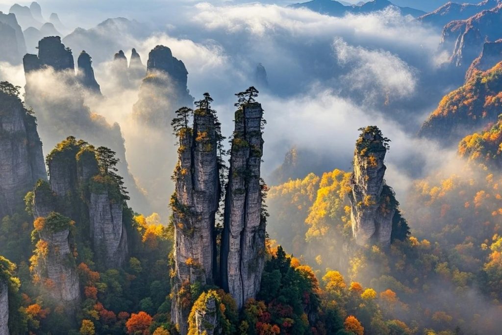 The autumn scenery of Zhangjiajie National Forest Park