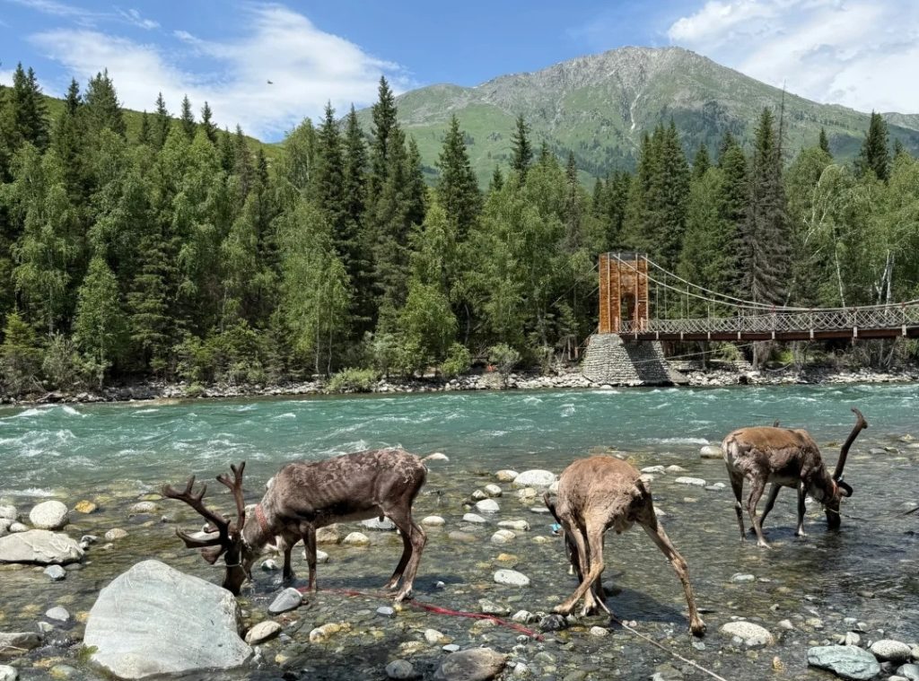 The summer of Hemu Village