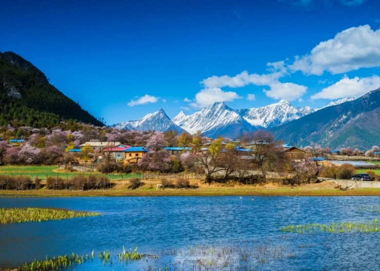 Tibet in Spring