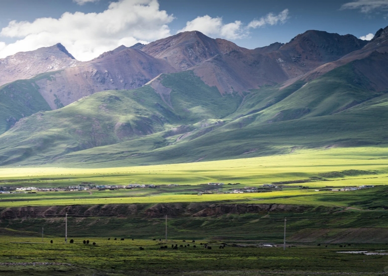 Tibet in Summer