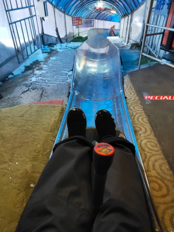 Tobogganing