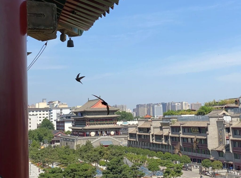 View from ascending the Xian Bell Tower.
