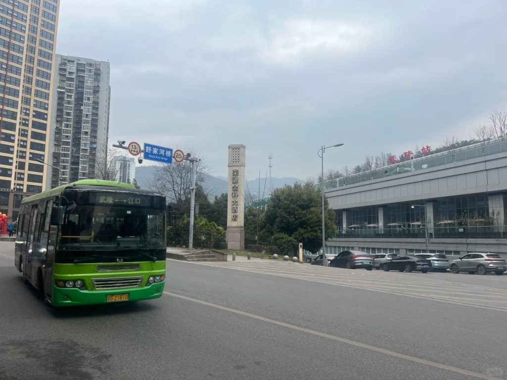 Wulong Station