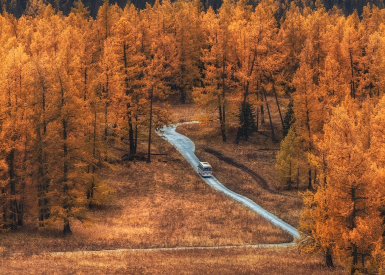 North Xinjiang or South Xinjiang? An Expert Comparison Guide