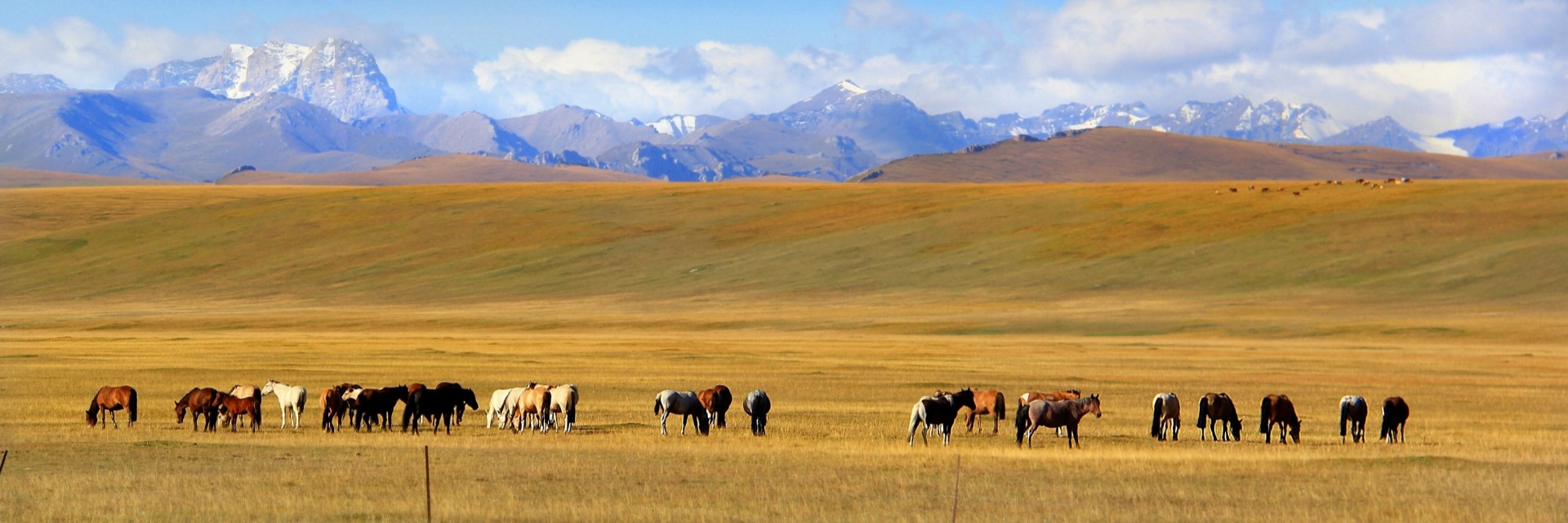 Xinjiang Yili tours