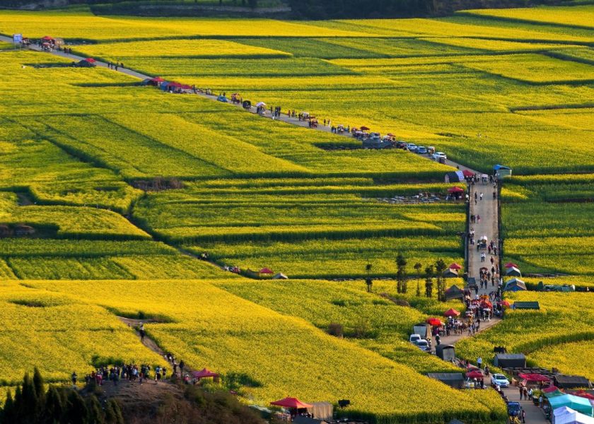 Yunnan in Spring