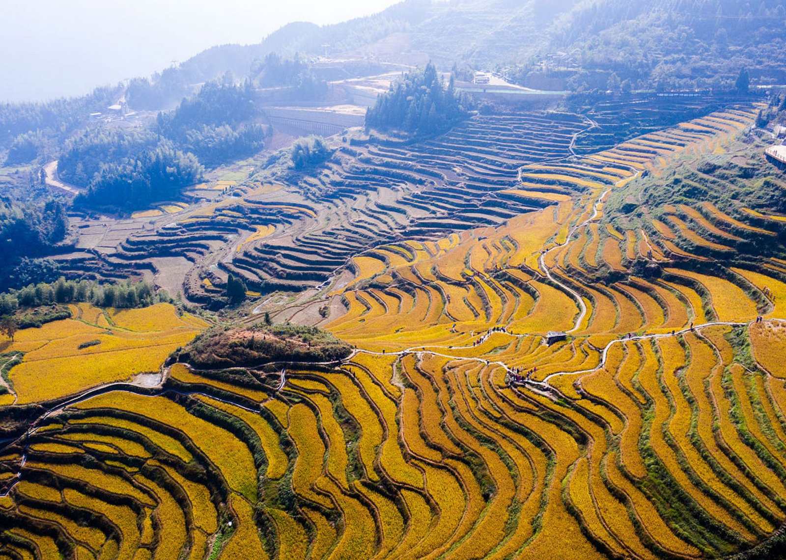 Yuanyang Terraces