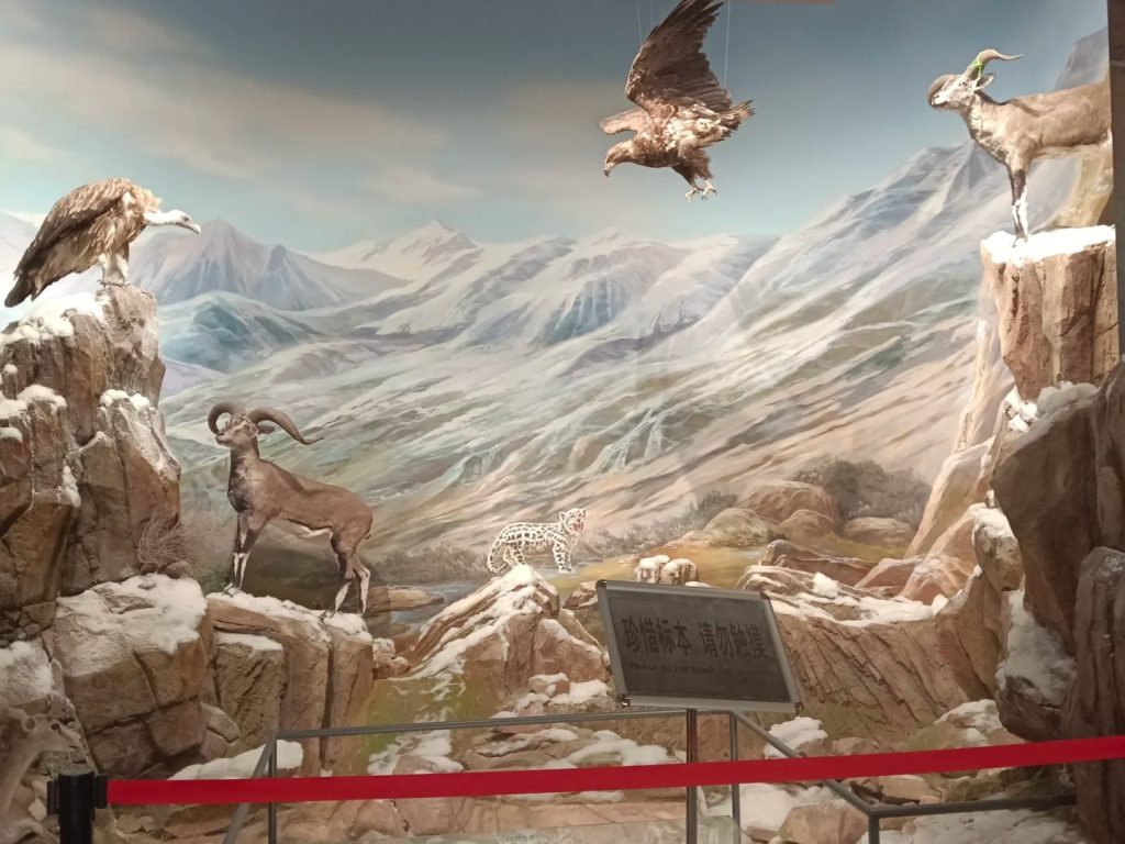 Zhangye Geological Museum