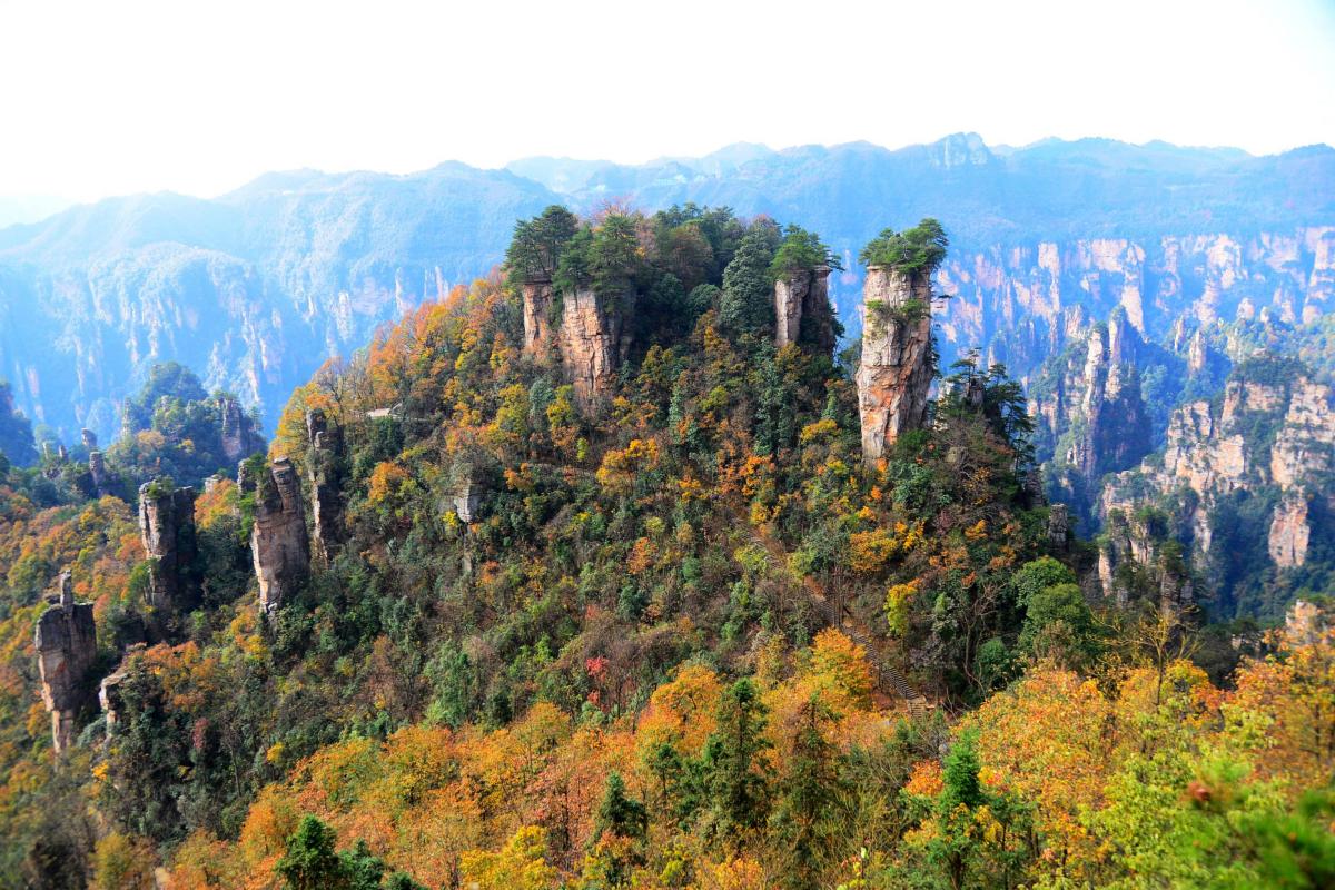 Zhanjiajie National Forest Park in Autumn