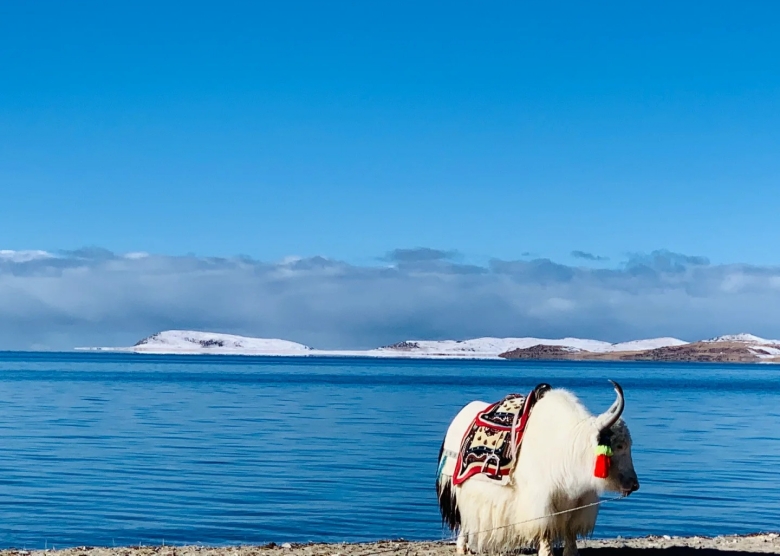 Best Time to Visit Tibet & What to Expect