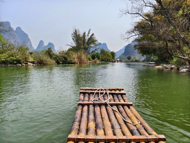 li river bamboo