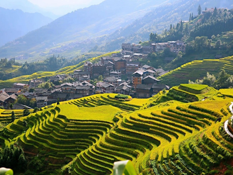 longji terrace