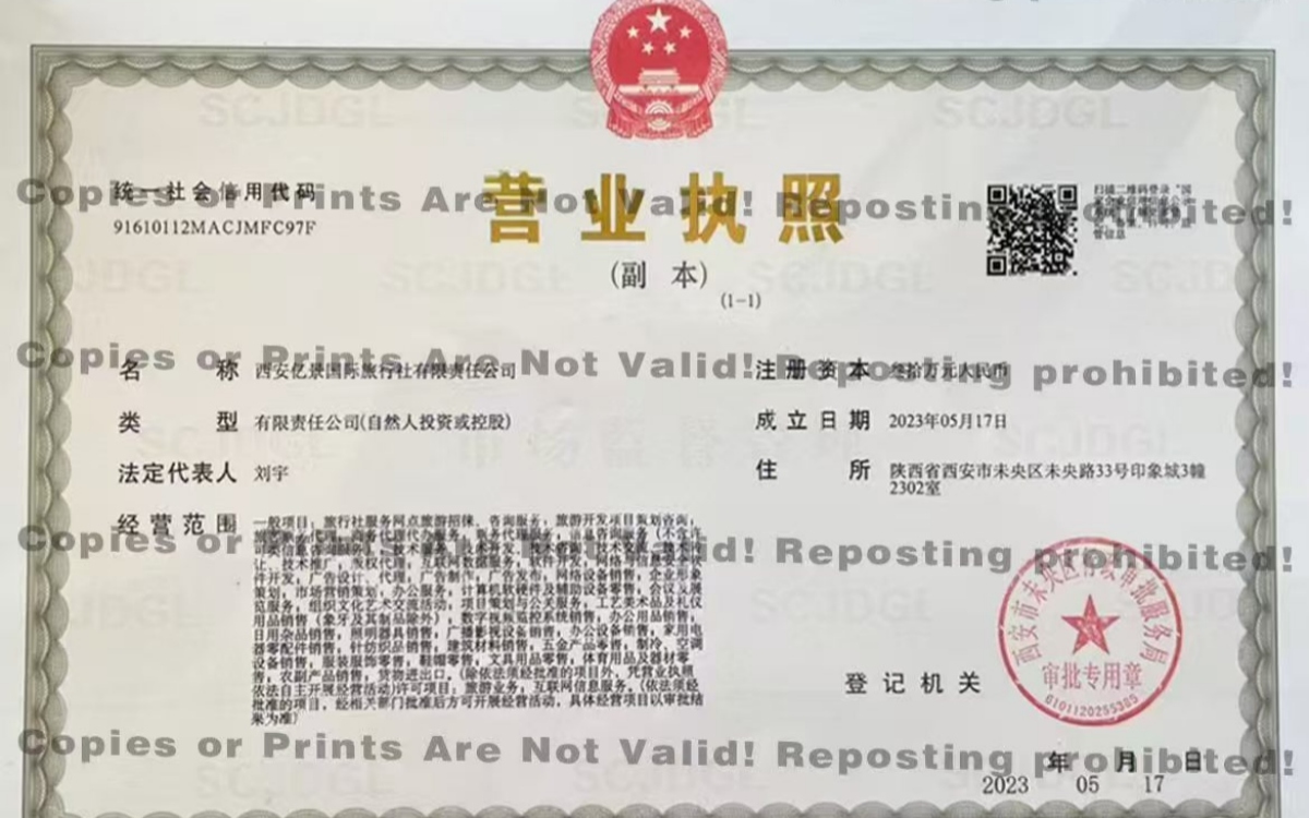 Travel License