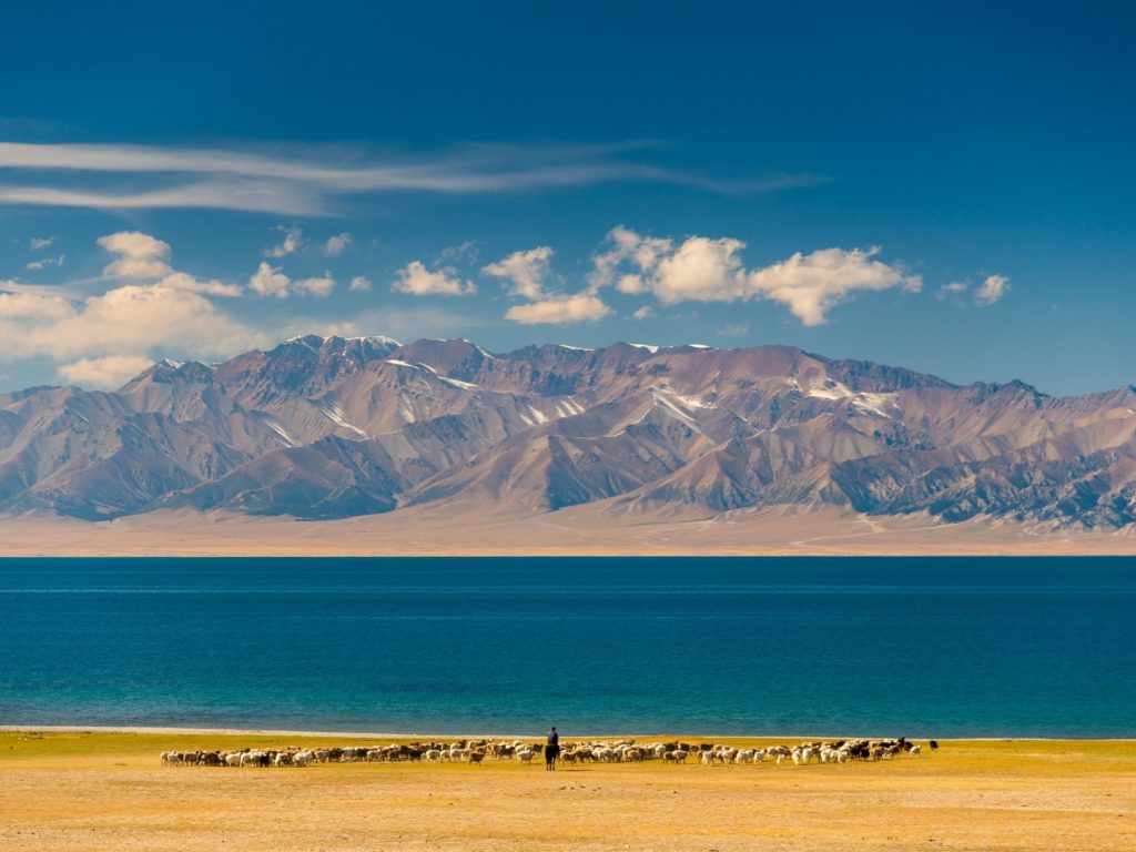 Qinghai Lake in autumn