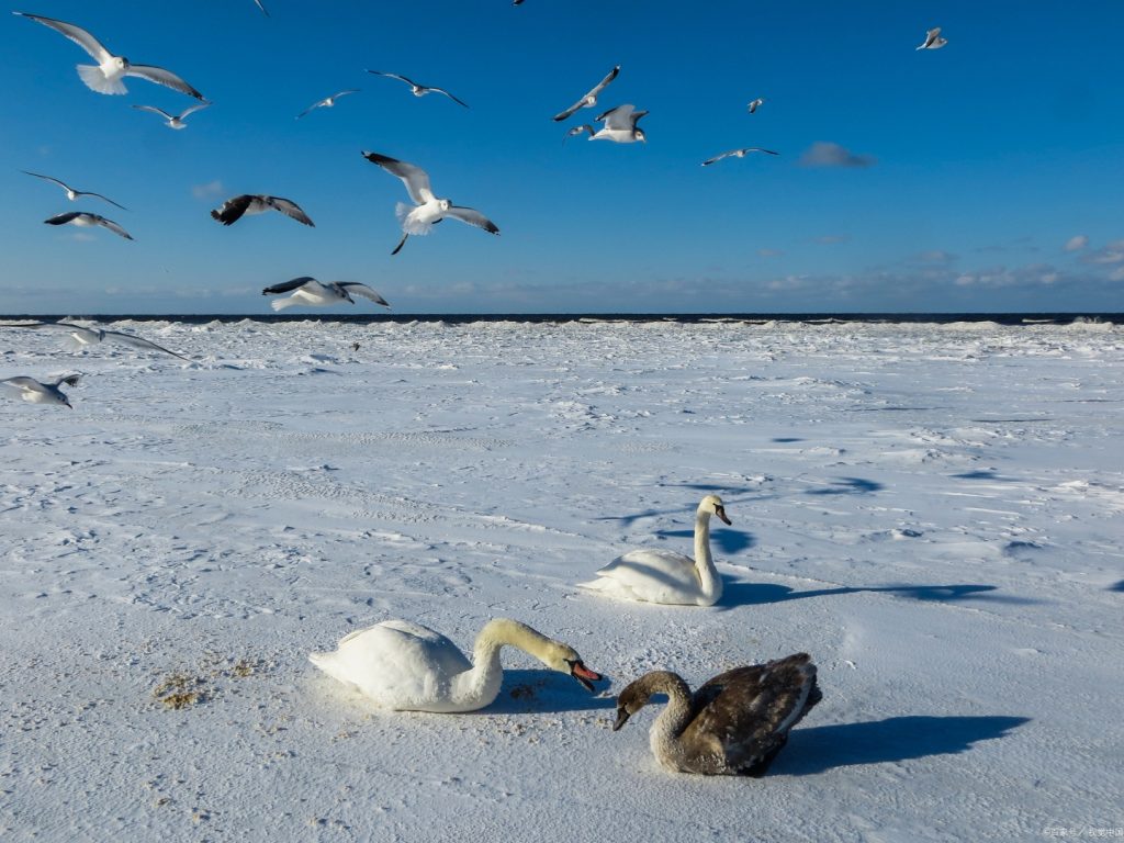 Qinghai Lake in winter