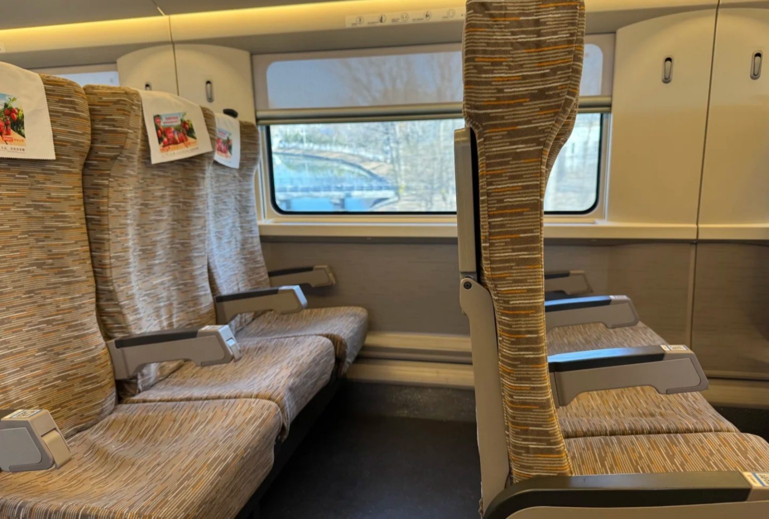 China High-Speed Train Guide for International Tourists 2026