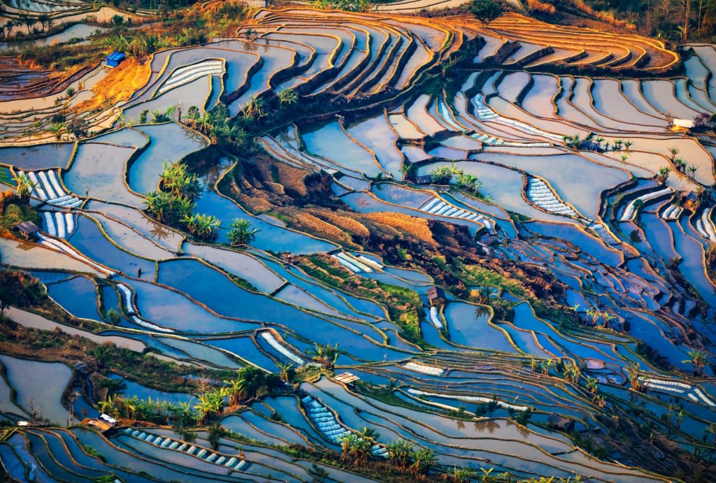 Laohuzui Terraced Field