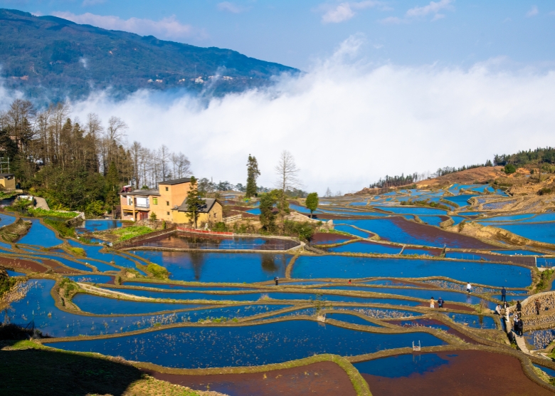 Yuanyang rice terraces