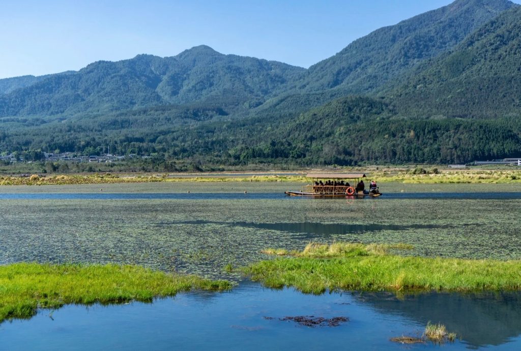 Beihai Wetland